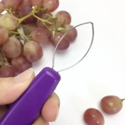 Grape Peelers Stainless Steel Rings EDWS NK202365139